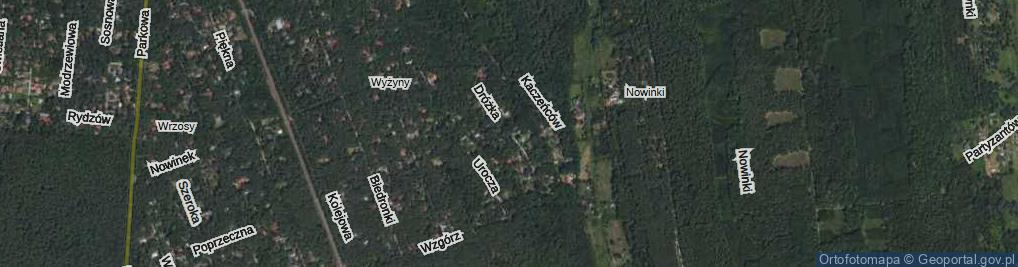 Zdjęcie satelitarne Leśna Dróżka ul.